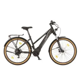 E-bike Fischer Terra 5.0 ⋆ Lehner Versand